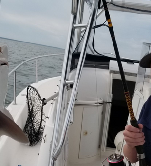 Fun Shark Adventure IN Chincoteague 